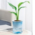 thumbnail image 1 of Self-Watering Plants Pot | Transparent Plastic Planter with Water Reservoir for Indoor Plants | 4.7 Inch Lazy Garden Flower Pot for Succulents, Herbs, Desk, Living Room, Home Decor, 1 of 8