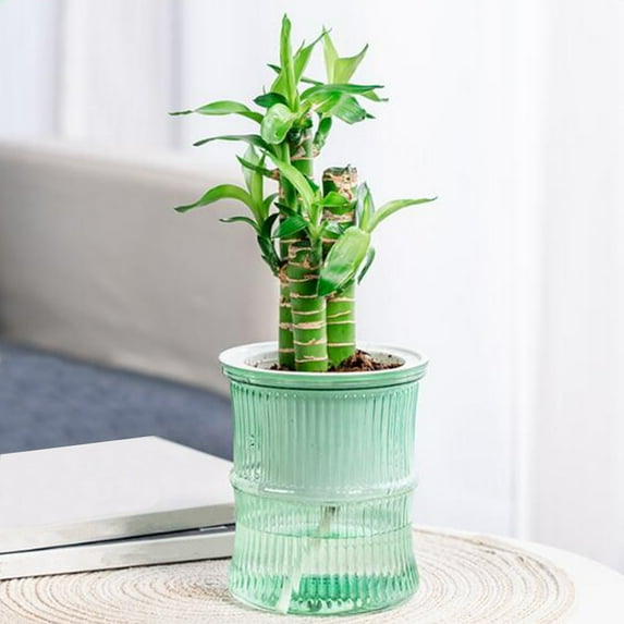 Self-Watering Plastic Flower Pot-12x10.5cm Lazy Planters for Indoor Plants Red Blue Green Transparent Water Storage Desktop Decor for Home & Office