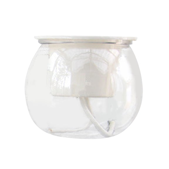 Self Watering Pot for Indoor Plants, Clear Flowers Pot Planter with Deep Reservoir for Spider Plant, Orchid, African Violet, 4.33x4.33"