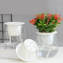 Self Watering Pot for Indoor Plants, Clear Flowers Pot Planter with Deep Reservoir for Spider Plant, Orchid, African Violet, 4.33x5.12"