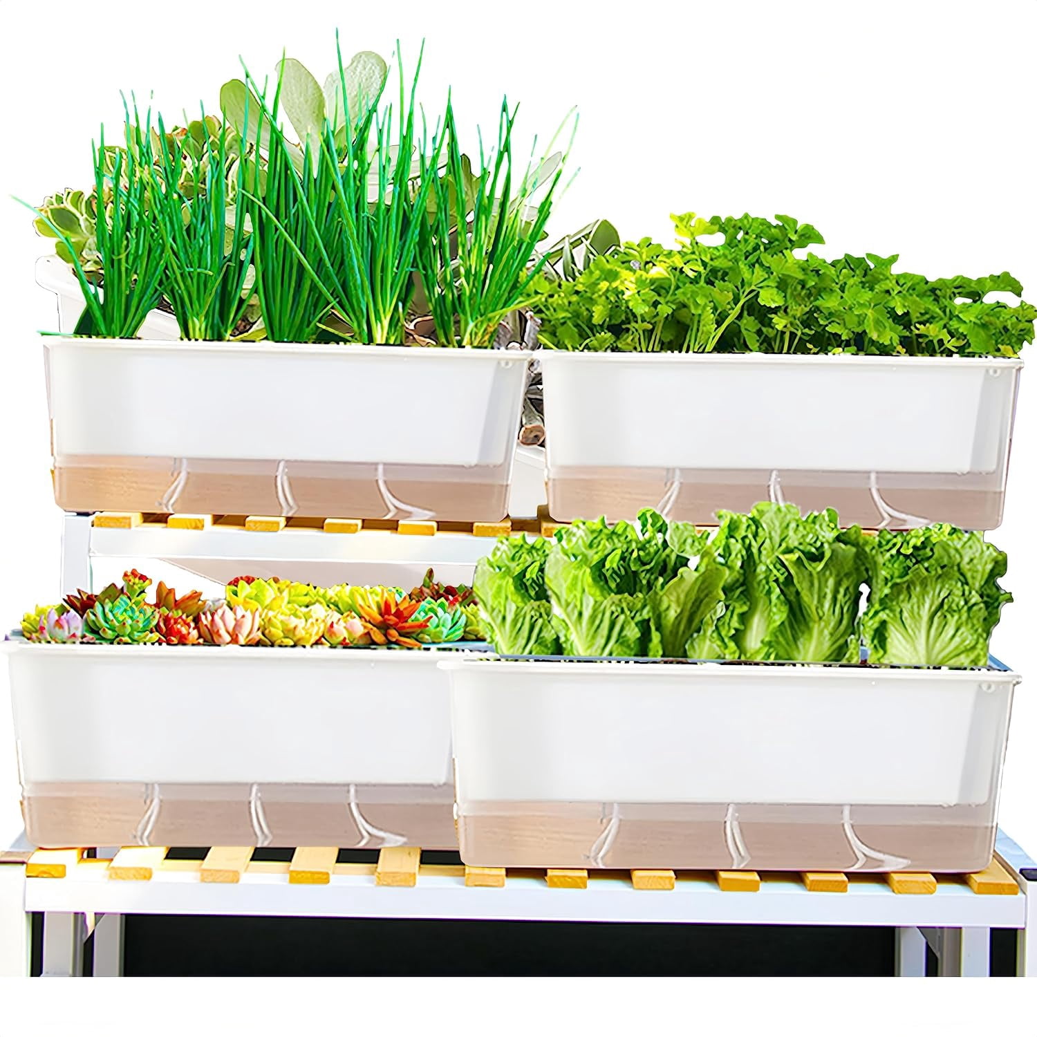 Self Watering Pots - 3 Pack Transparent Rectangular Planting Pots for ...