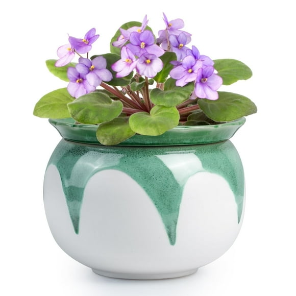 EFISPSS 6" Self-Watering Ceramic Planter for African Violets - Green Gradient | Natural Home Decor