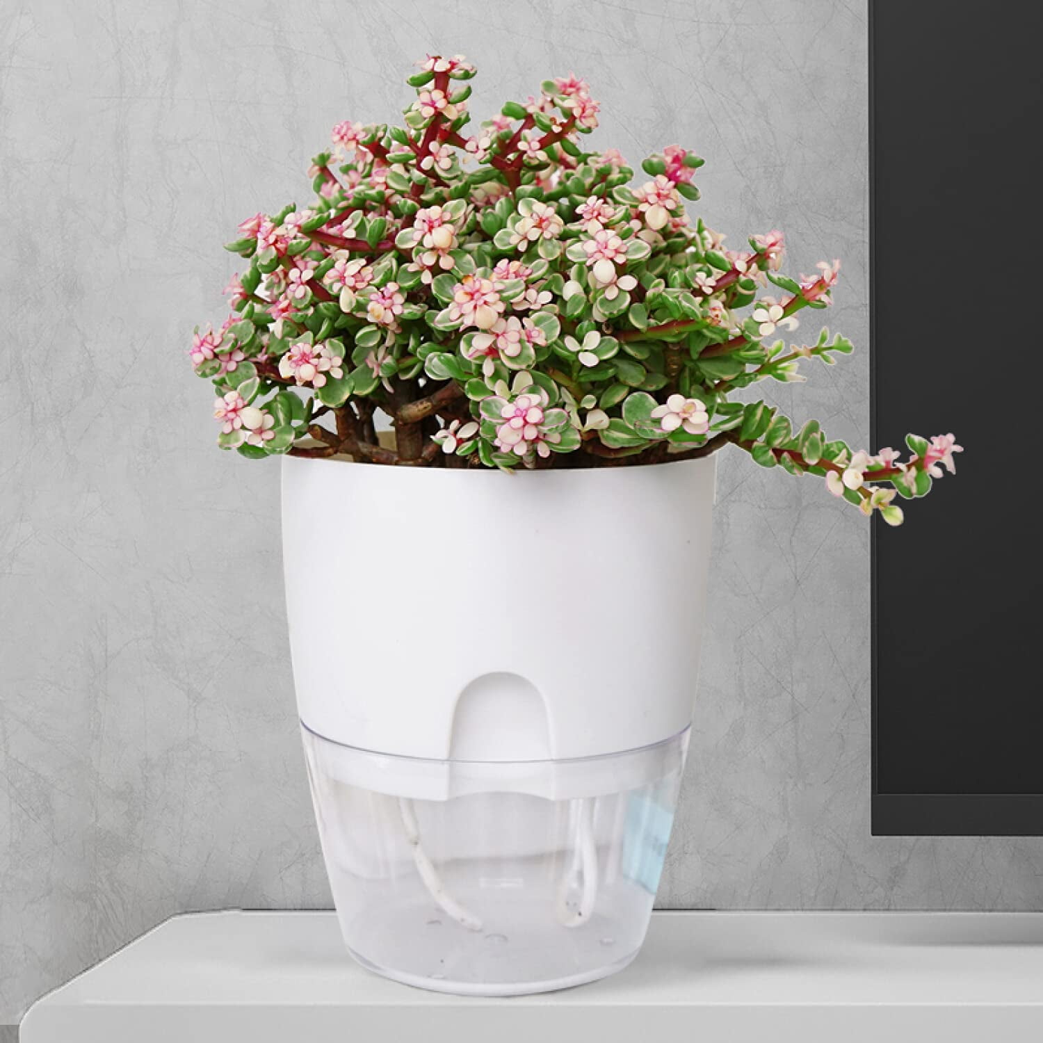 Self Watering Pots for Indoor Plants, Flower Pots Outdoor, 6 Inch Self