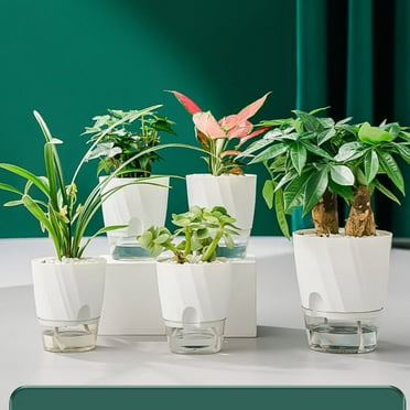 Self Watering Pots for Indoor Plants, 6" Flower Pots for All House Plants, Self Watering Flower Pots, 1PC