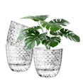 thumbnail image 1 of Self Watering Pots for Indoor Plants, Flower Pots, Self Watering Plant Pot-3pcs 6inch Clear, 1 of 6