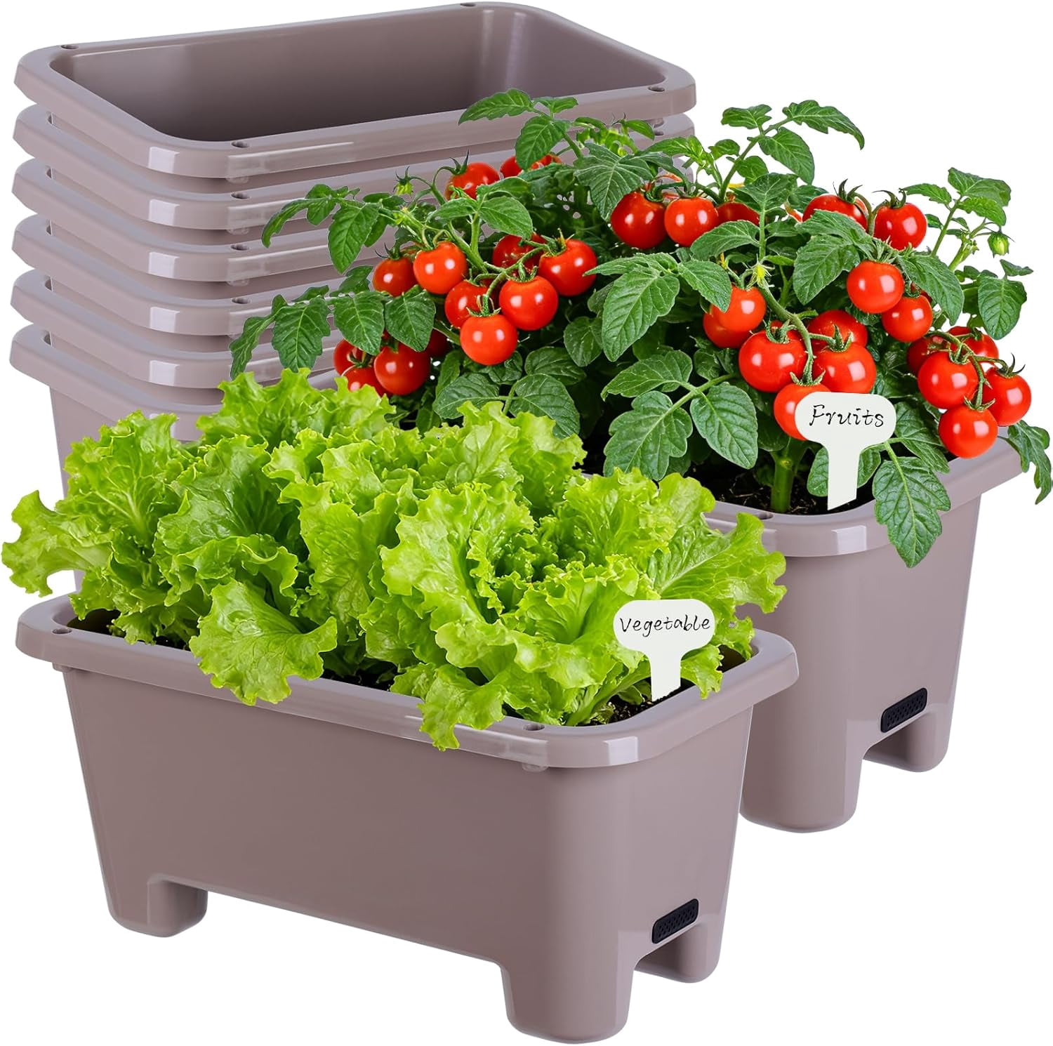 Self-Watering Rectangle Planter Boxes 8-Pack, 15.7-Inch Window Box Planter with Drainage Holes & Trays, Pots for Vegetables, Herbs, Flowers, Garden Windowsill Balcony (Coffee)