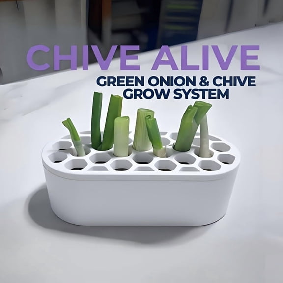 Self-Watering Scallion Regeneration System Hydroponic Grow Kit for Balcony, Windowsill, and Small Spaces, Compact Tabletop System with Plastic Frame No Skills Needed for Fast Growing Onion
