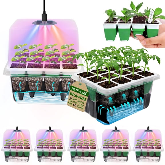 Seed Starter Tray with Grow Light,5 Pack 60 Cells Seedling Tray Kit Reusable & Dishwasher Safe for Starting Vegetable, Flower & Herb Seeds Indoor Grow Kit for Deep-Rooted Seedlings