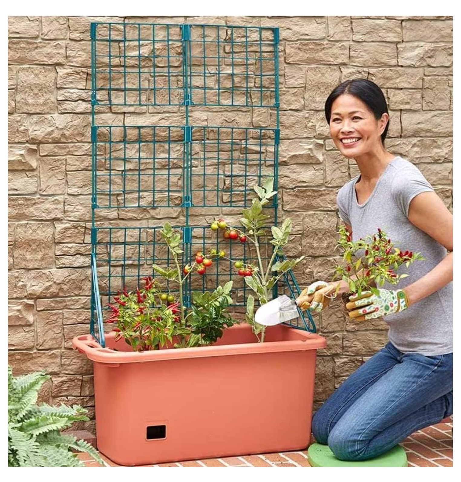 Self Watering Vegetable Planter Box with Trellis on Wheels - Mobile