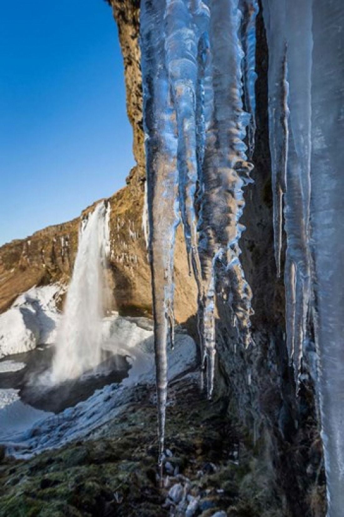 Seljalandsfoss Waterfall in the Winter Iceland Canvas Art - Panoramic Images (12 x 18)