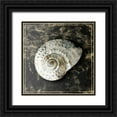thumbnail image 1 of Selkirk, Edward 12x12 Black Ornate Wood Framed with Double Matting Museum Art Print Titled - Marble Shell Series II, 1 of 4