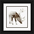 thumbnail image 1 of Selkirk, Edward 15x15 Black Ornate Wood Framed with Double Matting Museum Art Print Titled - Caribou, 1 of 4