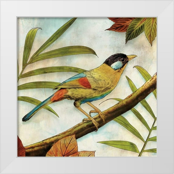 Selkirk, Edward 15x15 White Modern Wood Framed Museum Art Print Titled - Jungle Bird I
