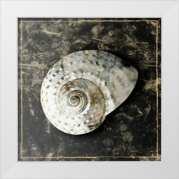 Selkirk, Edward 20x20 White Modern Wood Framed Museum Art Print Titled - Marble Shell Series II