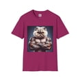 thumbnail image 1 of Selkirk Rex, 1 of 11