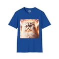 thumbnail image 1 of Selkirk Rex, 1 of 10