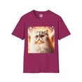 thumbnail image 1 of Selkirk Rex, 1 of 11