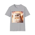 thumbnail image 1 of Selkirk Rex, 1 of 10