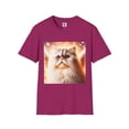 thumbnail image 1 of Selkirk Rex, 1 of 11