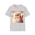 thumbnail image 1 of Selkirk Rex, 1 of 11