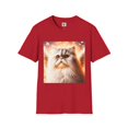 thumbnail image 1 of Selkirk Rex, 1 of 11