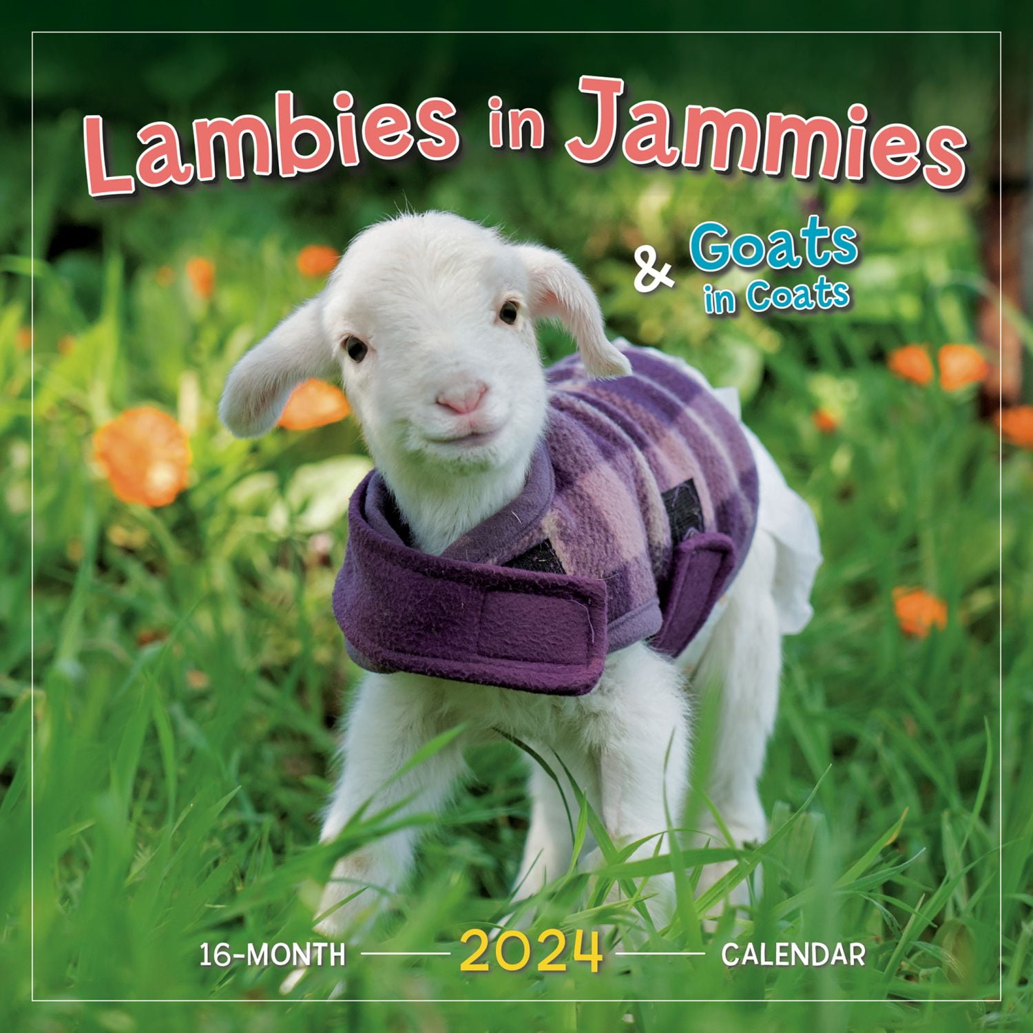 Sellers Publishing, Lambies in Jammies 2024 Wall Calendar