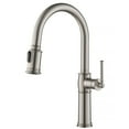 thumbnail image 1 of Sellette Traditional Single Handle Pull-Down Kitchen Faucet and Deck Plate in Spot Free Stainless Steel, 1 of 12