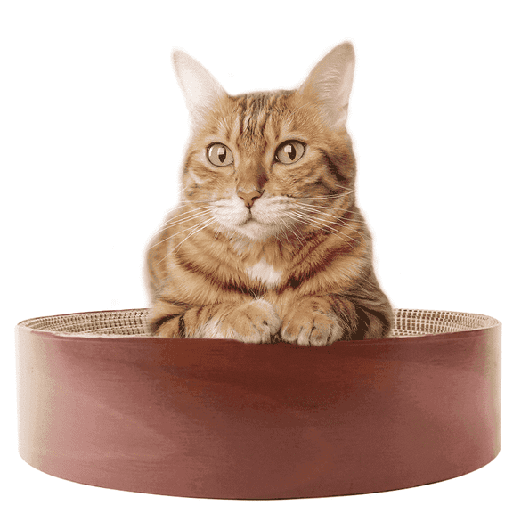 Selly's Den Round Bowl Shaped Cat Scratcher Cardboard Cat Bed , 16 inches