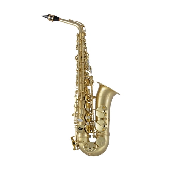 Selmer SAS711M Professional Alto Saxophone Outfit (Matte)