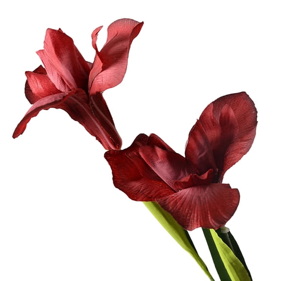 Selrti Artificial Iris Flower 2 Heads Faux Silk Long Stem for Table Centerpiece Decor