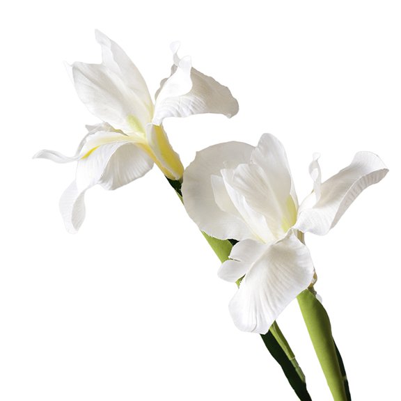 Selrti Artificial Iris Flower 2 Heads Faux Silk Long Stem for Table Centerpiece Decor