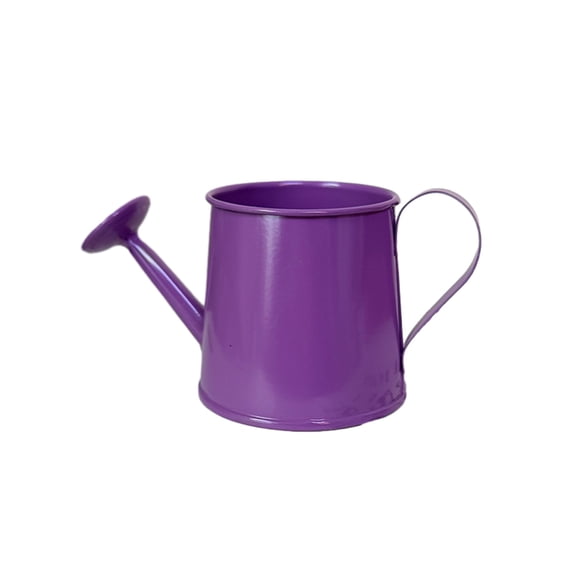 Selrti Mini Watering Can, Metal Vintage Watering Pot with Long Spout, Small Watering Can for Indoor Plants and Home Decoration