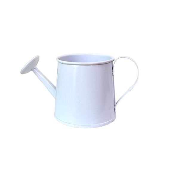 Selrti Mini Watering Can, Metal Vintage Watering Pot with Long Spout, Small Watering Can for Indoor Plants and Home Decoration