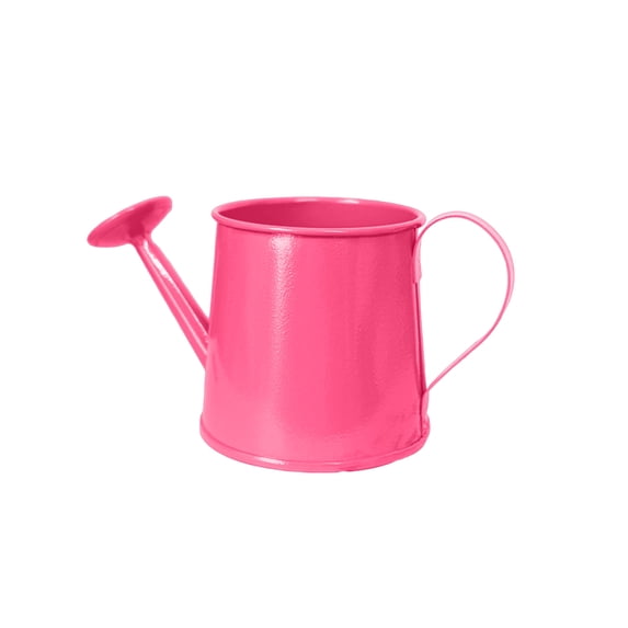 Selrti Mini Watering Can, Metal Vintage Watering Pot with Long Spout, Small Watering Can for Indoor Plants and Home Decoration