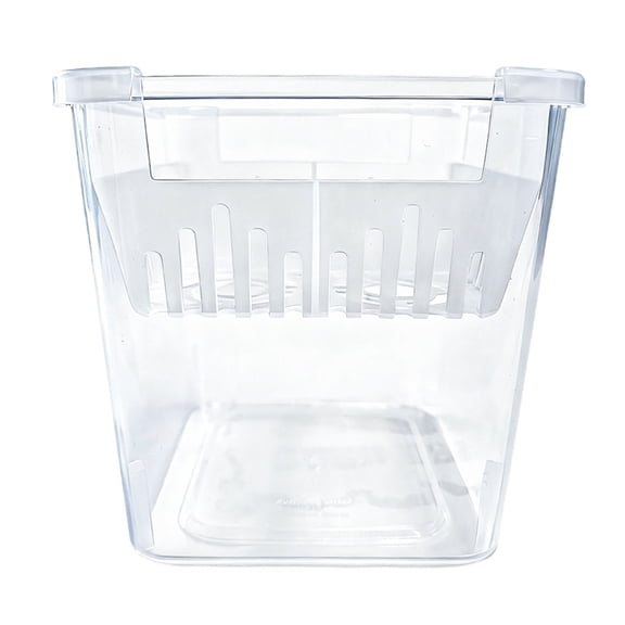 Selrti Tulip Bulb Planter 4-Cell Hydroponic Flower Pot with Reservoir Clear Indoor Gardening