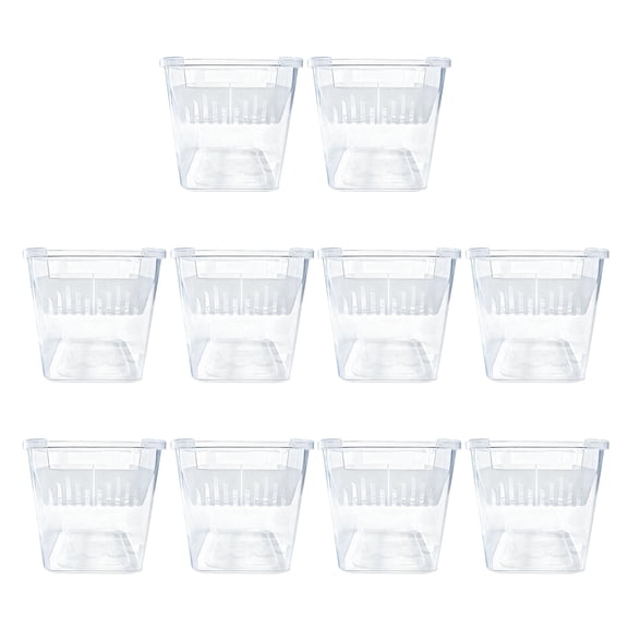Selrti Tulip Bulb Planter, 4-Cell Hydroponic Flower Pot with Reservoir, Clear Plant Pot with Inner Drainage Pot for Indoor Gardening - 10 pcs