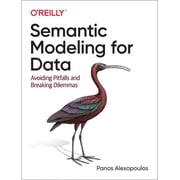 Semantic Modeling for Data Avoiding Pitfalls and Breaking Dilemmas Paperback