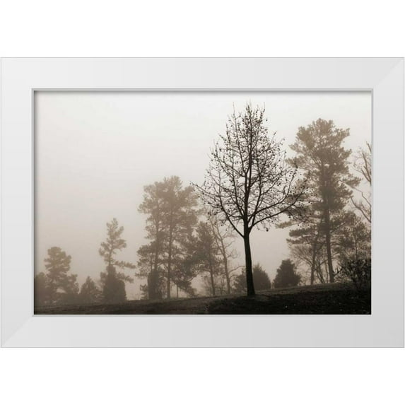 Sememza, Marlana 18x13 White Modern Wood Framed Museum Art Print Titled - Evening Mist 2