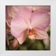 thumbnail image 1 of Sememza, Marlana 26x26 White Modern Wood Framed Museum Art Print Titled - Orchid Romance, 1 of 4