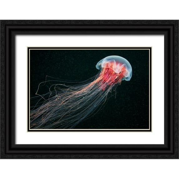 Semenov, Alexander 24x17 Black Ornate Wood Framed with Double Matting Museum Art Print Titled - Longtail