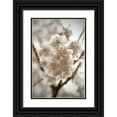 thumbnail image 1 of Semenza, Marlana 11x14 Black Ornate Wood Framed with Double Matting Museum Art Print Titled - Blossom Twig 2, 1 of 4