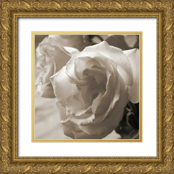 Semenza, Marlana 15x15 Gold Ornate Wood Framed with Double Matting Museum Art Print Titled - Sepia Rose 2
