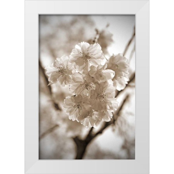 Semenza, Marlana 23x32 White Modern Wood Framed Museum Art Print Titled - Blossom Twig 2