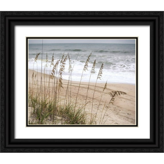 Semenza, Marlana 24x20 Black Ornate Wood Framed with Double Matting Museum Art Print Titled - Silver Seagrass