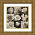thumbnail image 1 of Semenza, Marlana 26x26 Gold Ornate Wood Framed with Double Matting Museum Art Print Titled - Rose Collection, 1 of 4