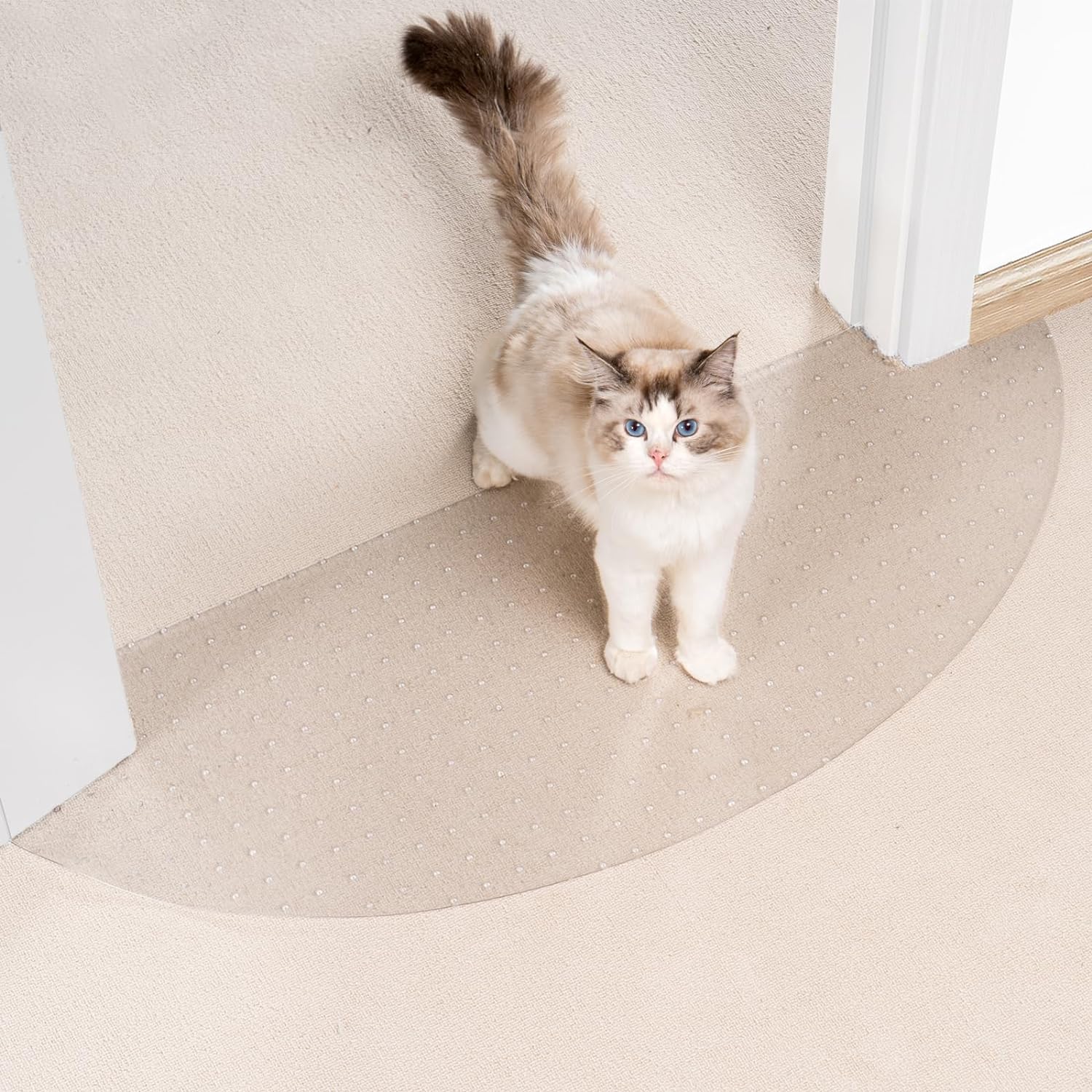 How to stop cats ripping carpet best sale