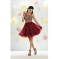 thumbnail image 1 of Semi Formal Short Party Dress & Plus Size, 1 of 4