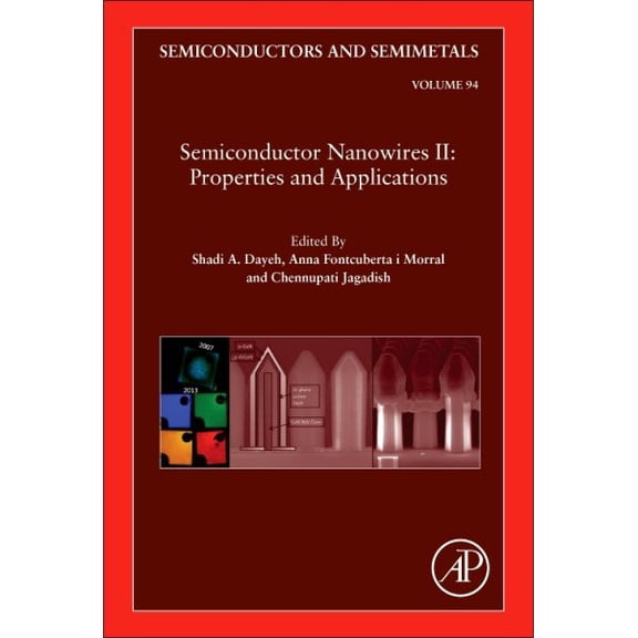 Pre-Owned Semiconductor Nanowires II: Properties and Applications (Volume 94) (Semiconductors and Semimetals, Volume 94) [Hardcover] Dayeh, Shadi A.; Fontcuberta i Morral, Anna and Jagadish, Chennupati