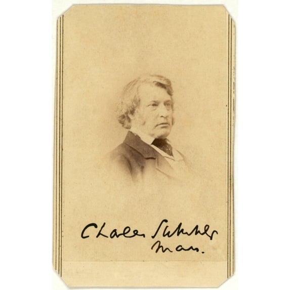 Senator Charles Sumner History (24 x 36)