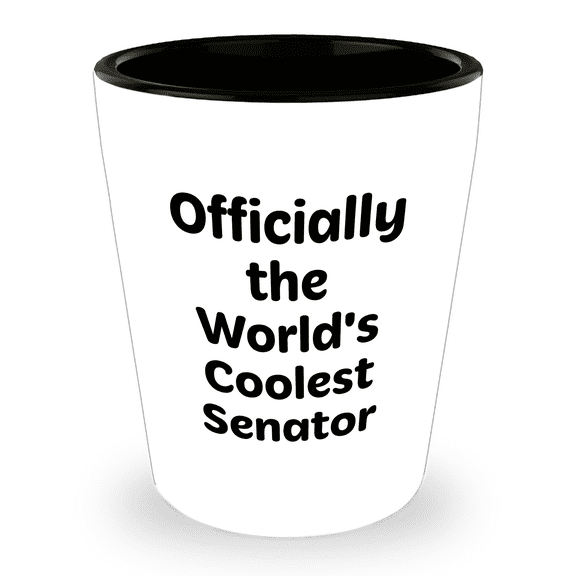 Senator Gift Idea - Funny Shot Glass Quote - Mother's Day Unique Gifts from Men to Senator